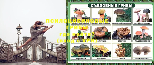 круглые Белокуриха