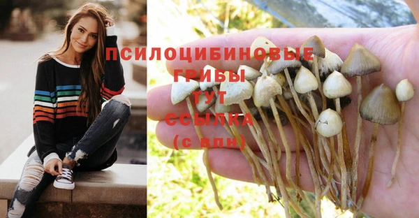 таблы Гусев