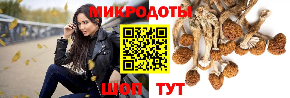 Псилоцибиновые грибы GOLDEN TEACHER  Вход с VPN  Галлюциногенные грибы Psilocybine cubensis  Маркс 
